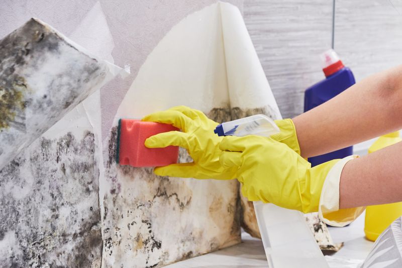 Air Duct Mold Removal in Jupiter, FL