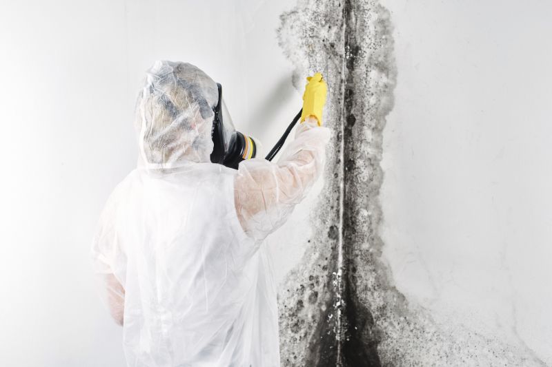 Attic Mold Remediation in Fort Lauderdale, FL