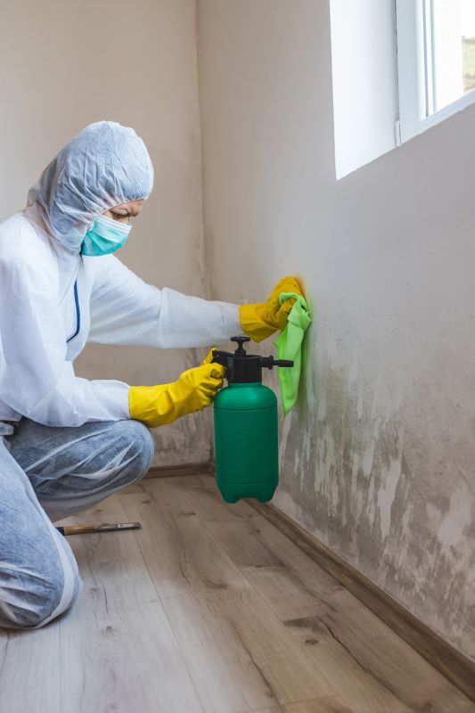 Attic Mold Removal in Dallas, TX