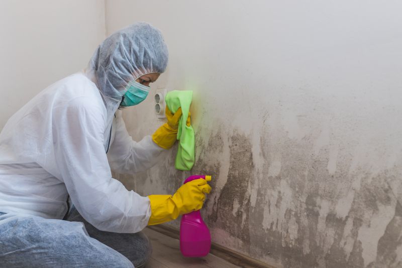 Attic Mold Removal in Dallas, TX