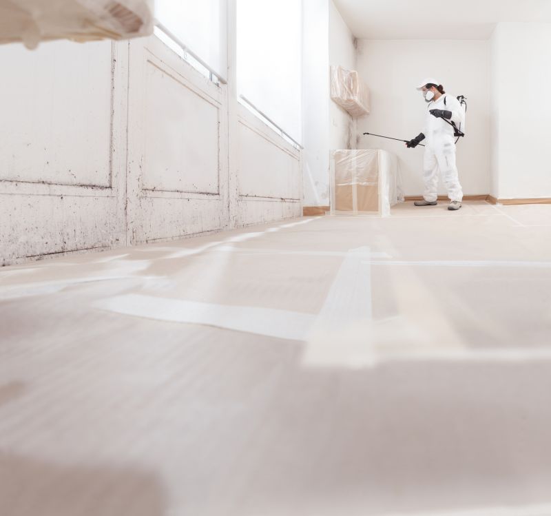 Basement Mold Remediation in Bergen County, NJ