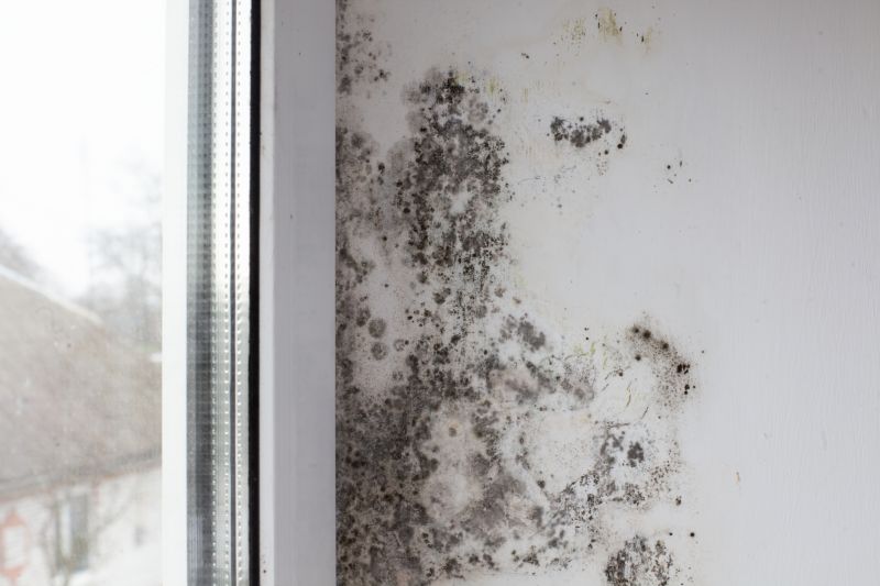 Basement Mold Removal in Bergen County, NJ