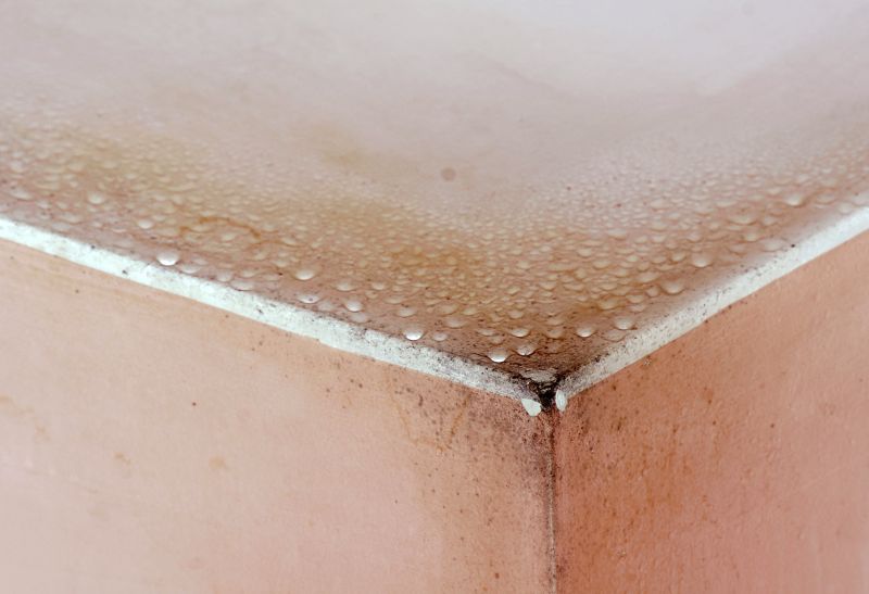 Basement Mold Removal in West Palm Beach, FL