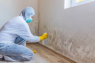 Black Mold Remediation in Boca Raton, FL