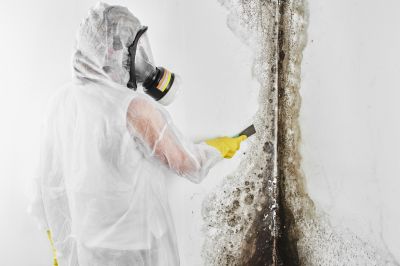 Black Mold Removal in Pompano Beach, FL