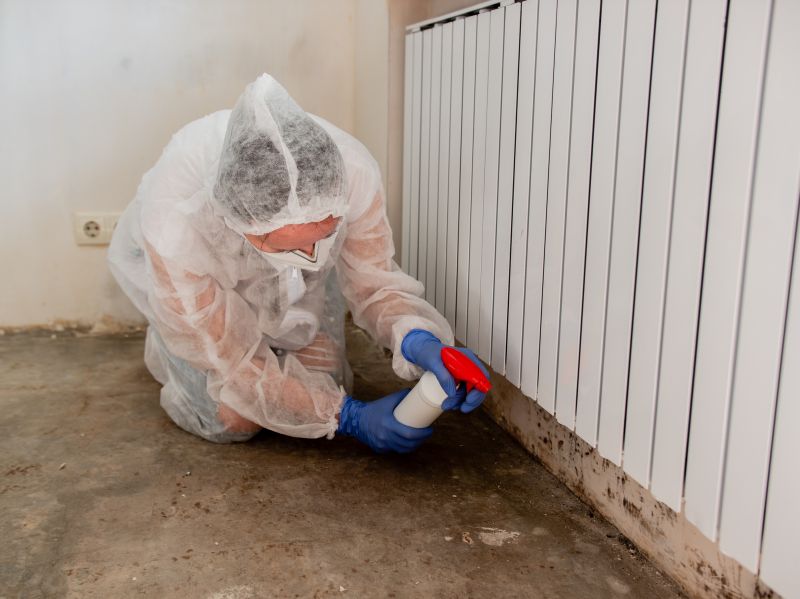Crawl Space Mold Removal in Essex County, NJ