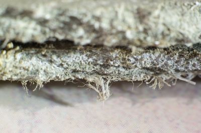 Garage Asbestos Removal in Freehold, NJ