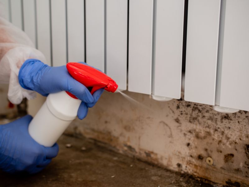 Garage Mold Remediation in Essex County, NJ