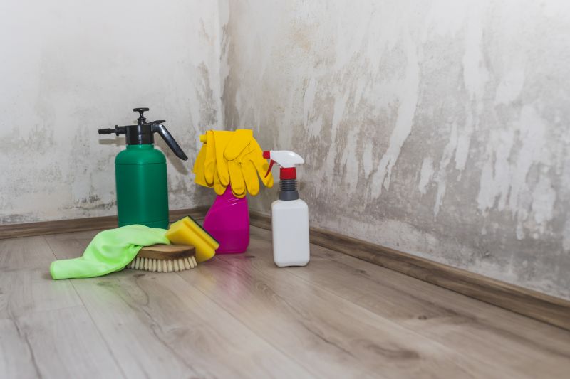 Garage Mold Remediation in Boca Raton, FL