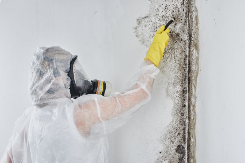 Mold Abatement in Denton, TX