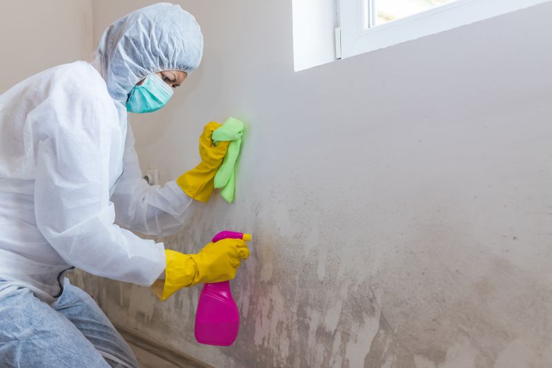 Mold Cleanup Service in Broward County, FL