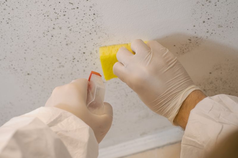 Mold Cleanup Service in Fort Worth, TX