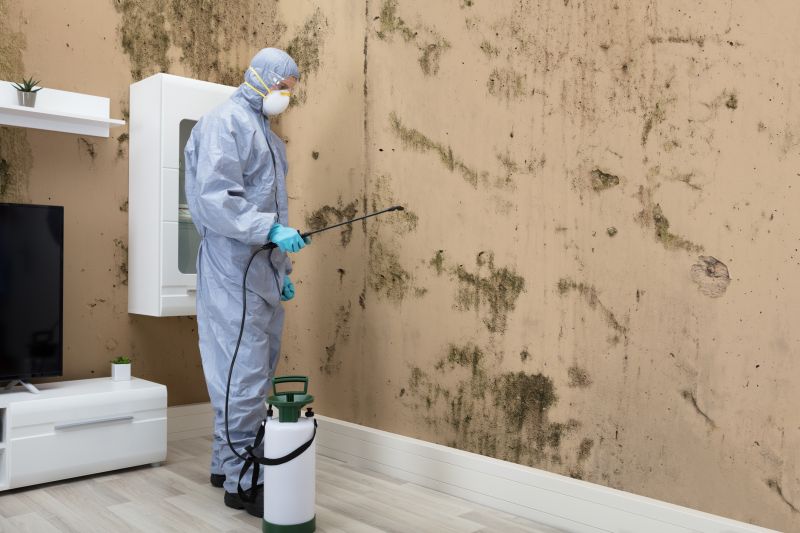 Mold Detection in Pompano Beach, FL
