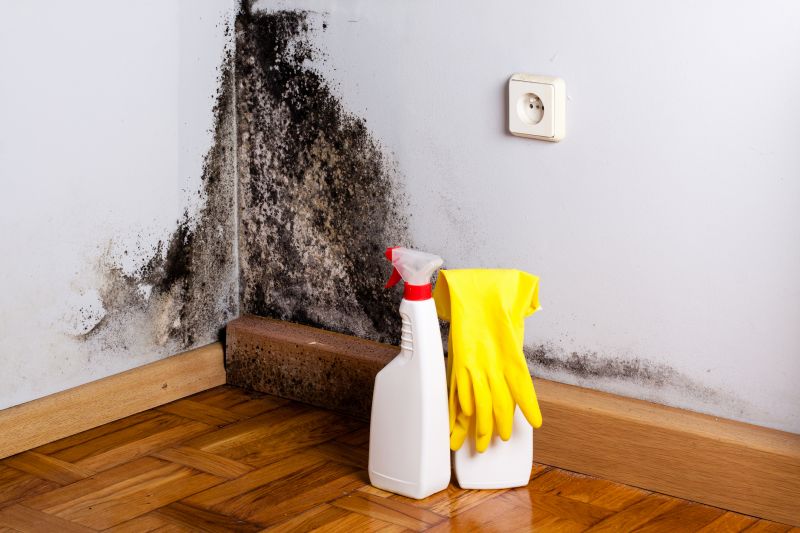 Mold Mitigation Service in Bergen County, NJ