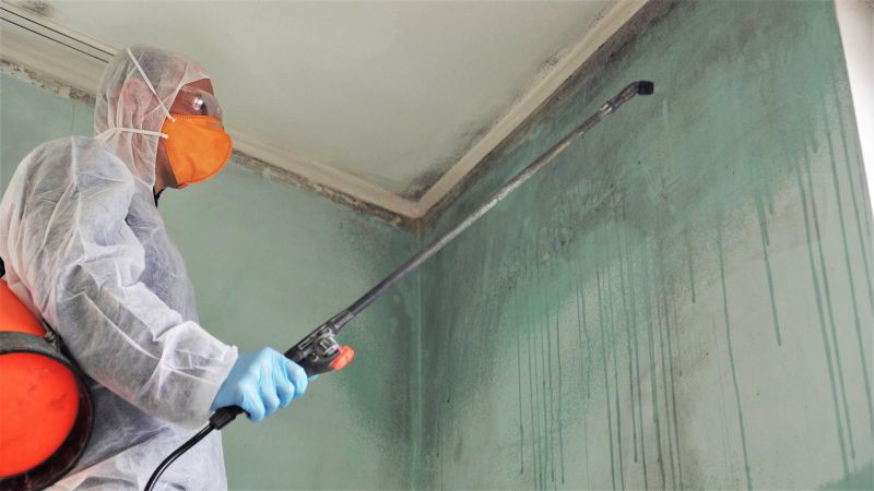 Mold Remediation Service in Frisco, TX