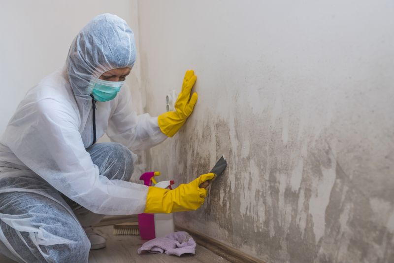 Mold Removal in Bergen County, NJ