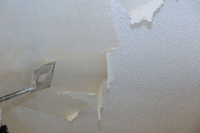 Vermiculite Removal Service in Morris County, NJ