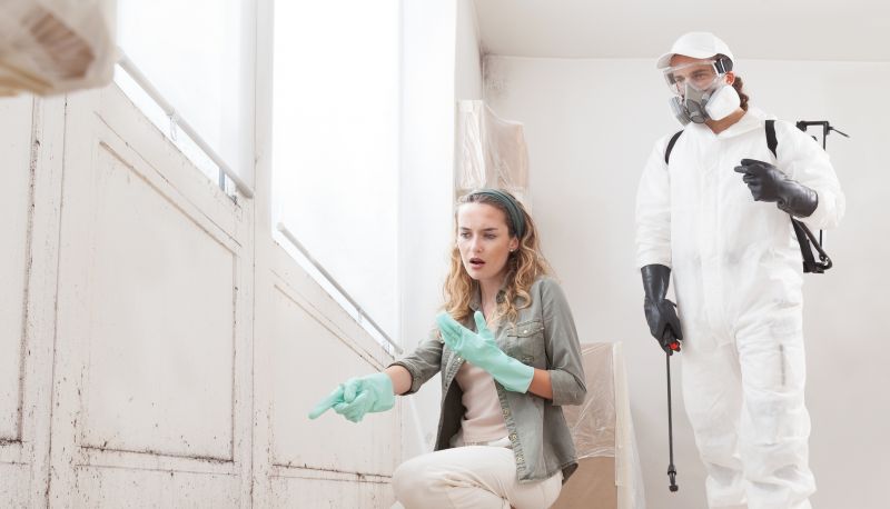 Attic Mold Remediation in Broward County, FL