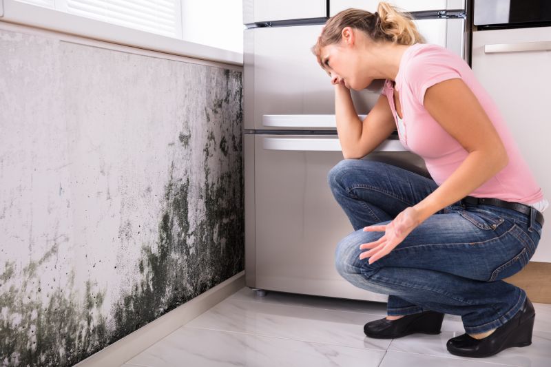 Black Mold Removal in Arlington, TX