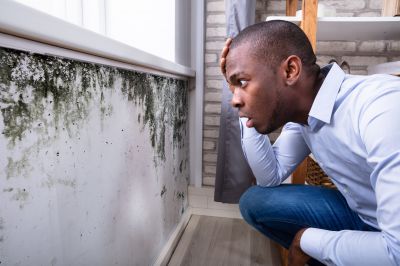 Mold Inspection And Removal in Rockwall, TX