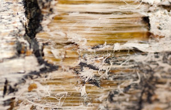 Vermiculite Mitigation - Vermiculite Mitigation Charleston, South Carolina