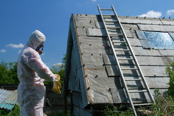 Asbestos Elimination