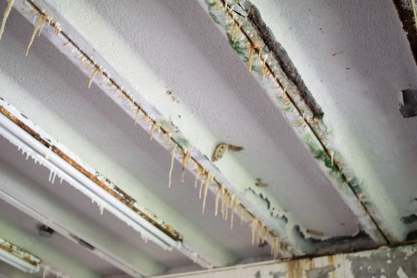 Asbestos Abatement